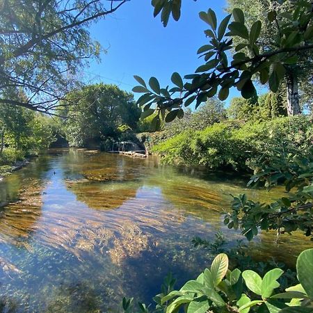Gite L'Odonate, Partage Des Eaux LʼIsle-sur-la-Sorgue Esterno foto