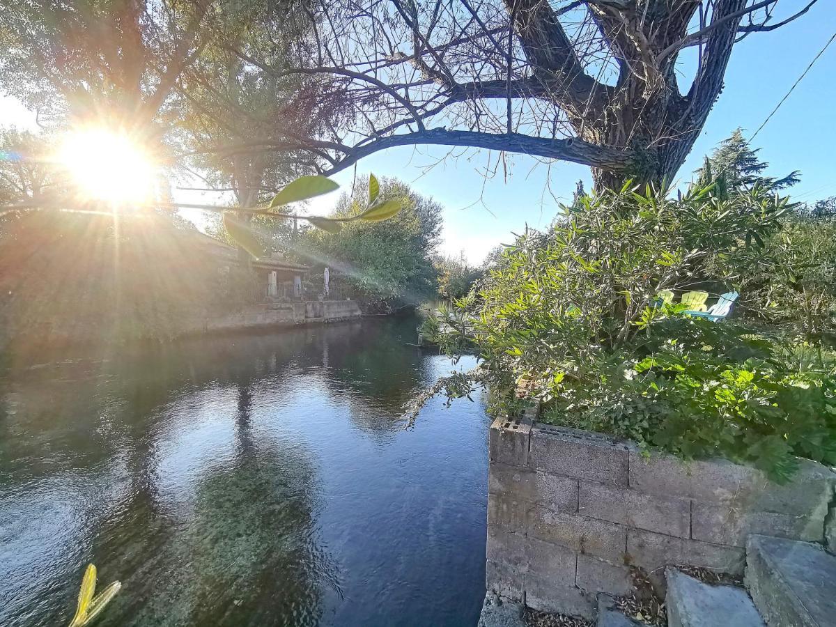 Gite L'Odonate, Partage Des Eaux LʼIsle-sur-la-Sorgue Esterno foto