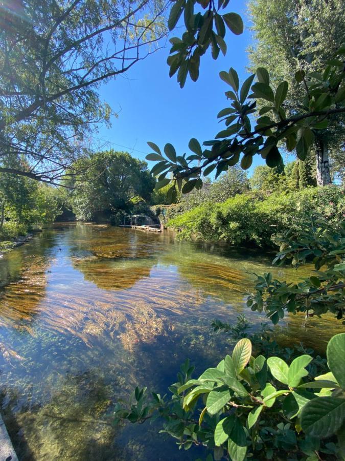 Gite L'Odonate, Partage Des Eaux LʼIsle-sur-la-Sorgue Esterno foto